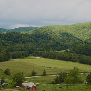 Pasture raised beef in the Appalachian Mountains of North Carolina for generations